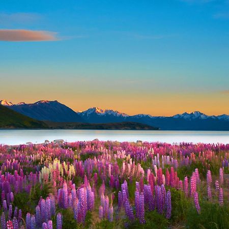 Lake Views At Antler Lodge Lake Tekapo Buitenkant foto