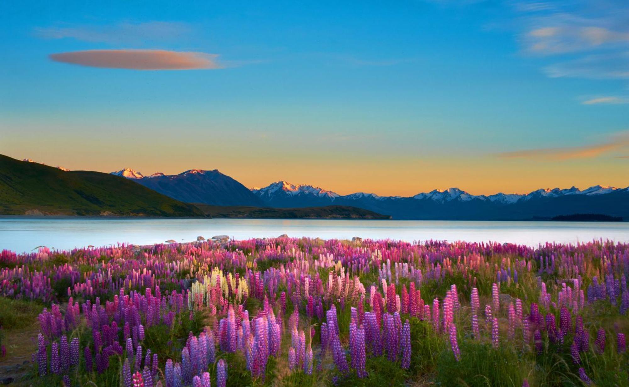 Lake Views At Antler Lodge Lake Tekapo Buitenkant foto