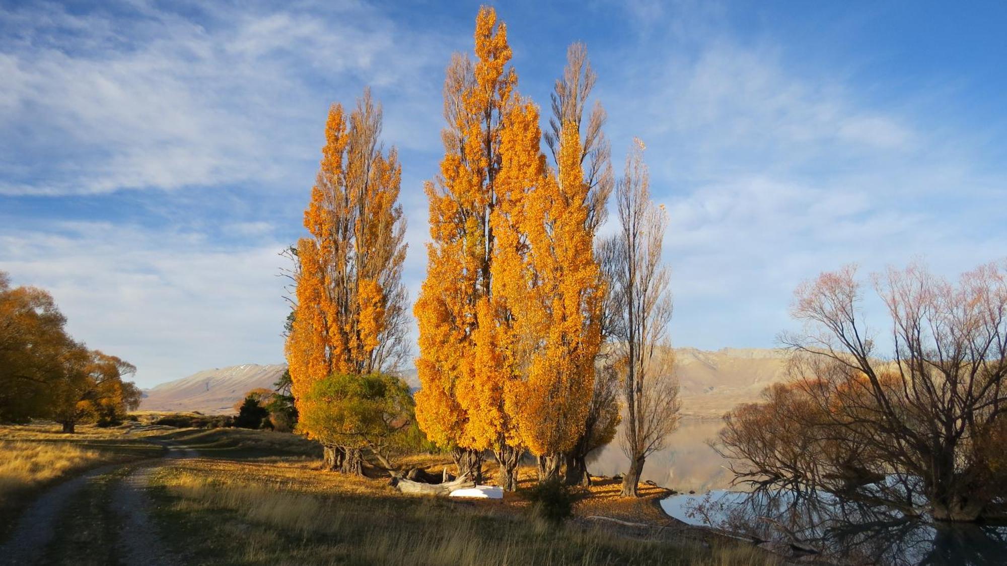 Lake Views At Antler Lodge Lake Tekapo Buitenkant foto